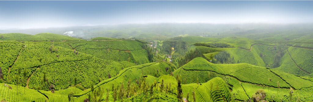 Munnar